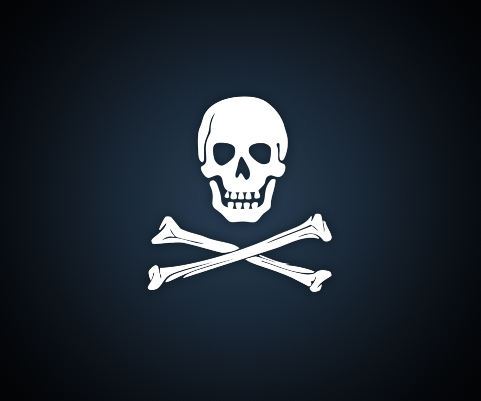 Fondo de pantalla Cyber Pirate Skull 960x800