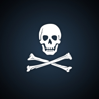 Cyber Pirate Skull - Obrázkek zdarma pro iPad Air