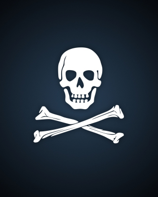 Kostenloses Cyber Pirate Skull Wallpaper für Nokia X6