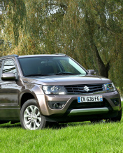 Suzuki Grand Vitara wallpaper 176x220