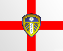 Leeds United wallpaper 220x176