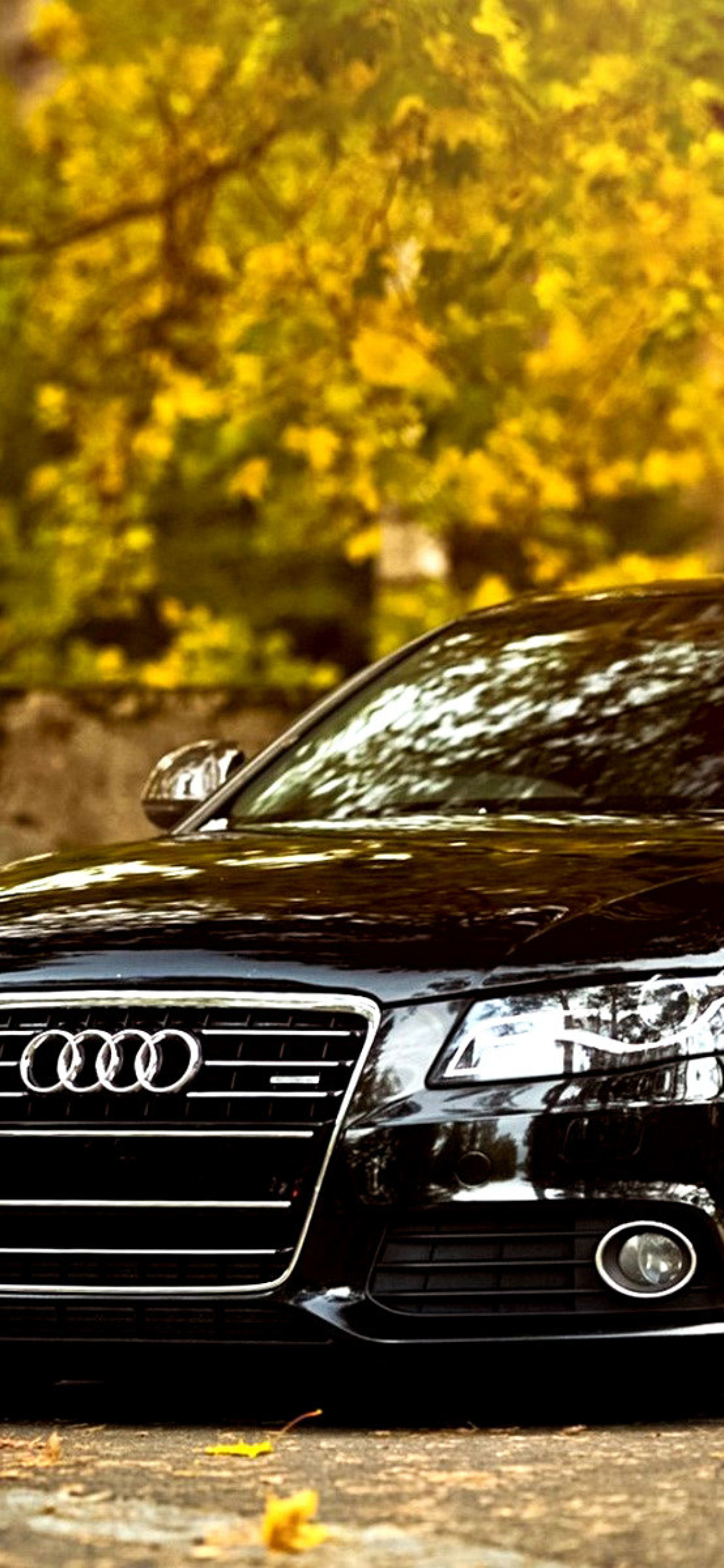Screenshot №1 pro téma Audi A4 with New Rims 1170x2532