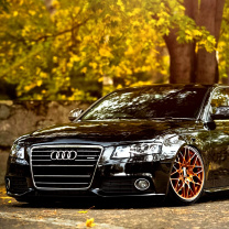 Sfondi Audi A4 with New Rims 208x208