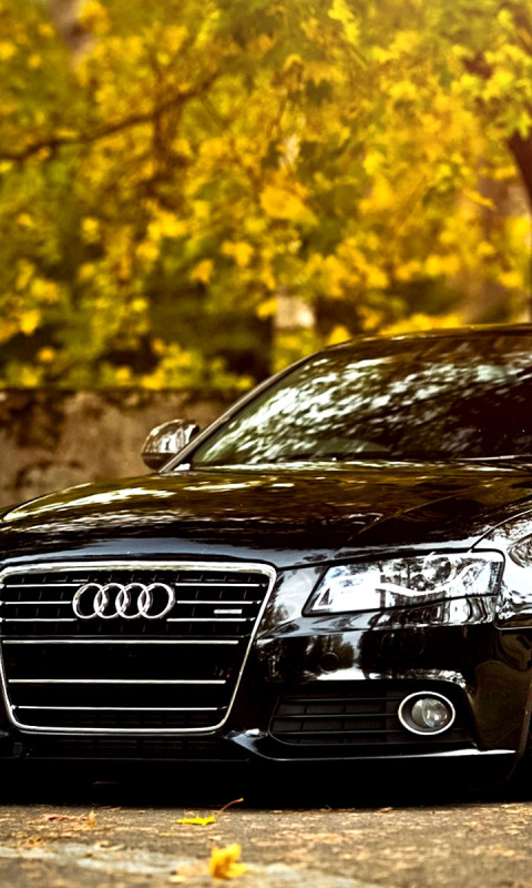 Audi A4 with New Rims wallpaper 480x800