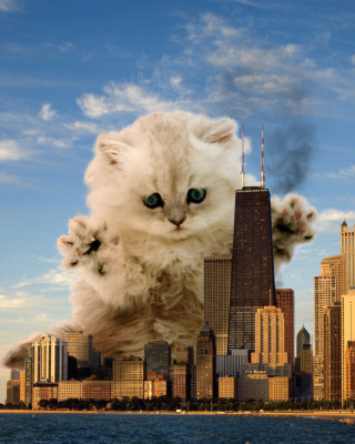 Kostenloses Dangerous Cat Wallpaper für HTC Touch