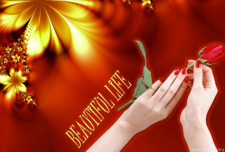 Beautiful Life - Fondos de pantalla gratis para Motorola DROID 3