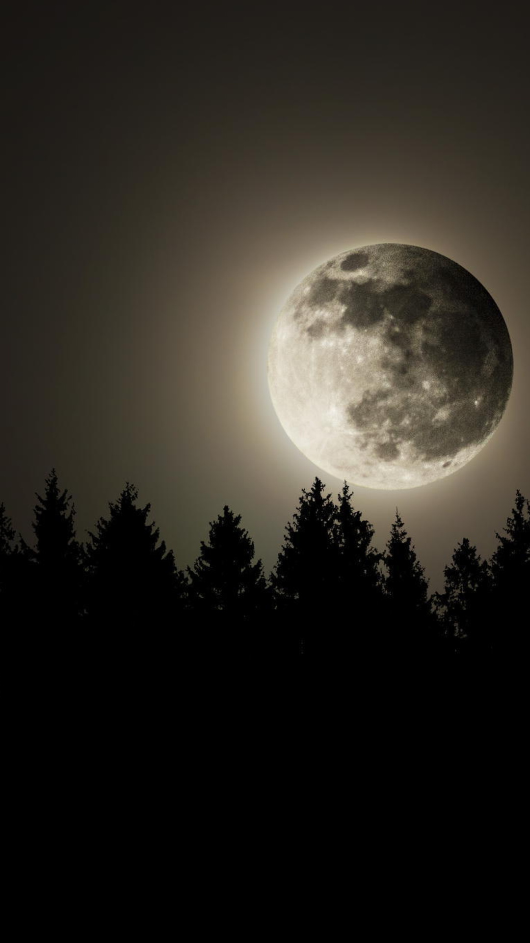 Das Full Moon Time Wallpaper 1080x1920