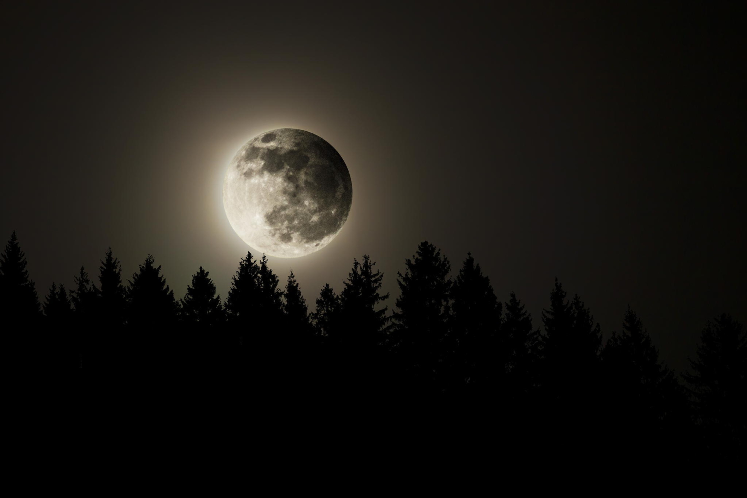 Full Moon Time wallpaper 2880x1920