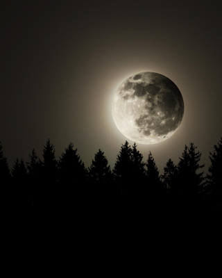Free Full Moon Time Picture for 240x320