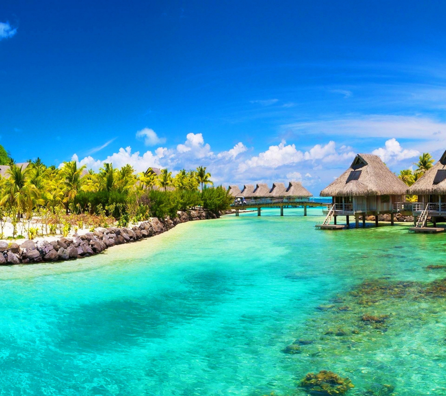 Hotel In Caribbean Sea screenshot #1 1440x1280