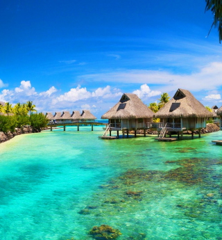 Hotel In Caribbean Sea - Obrázkek zdarma pro iPad mini