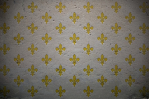 Fondo de pantalla Fleur De Lys Pattern 480x320