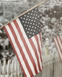 American Flag screenshot #1 128x160