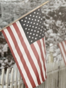 American Flag screenshot #1 132x176