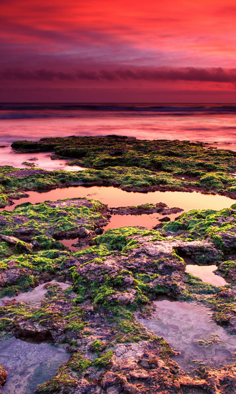 Sunrise on coast wallpaper 768x1280