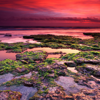 Sunrise on coast - Obrázkek zdarma pro iPad 3