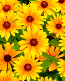 Das Rudbeckia Yellow Flowers Wallpaper 128x160