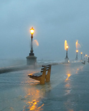 Das Embankment during the hurricane Wallpaper 176x220