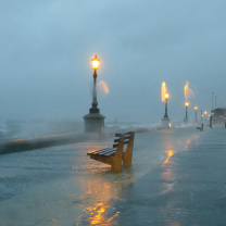 Embankment during the hurricane screenshot #1 208x208