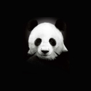 Panda In The Dark screenshot #1 128x128