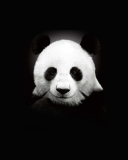 Screenshot №1 pro téma Panda In The Dark 128x160