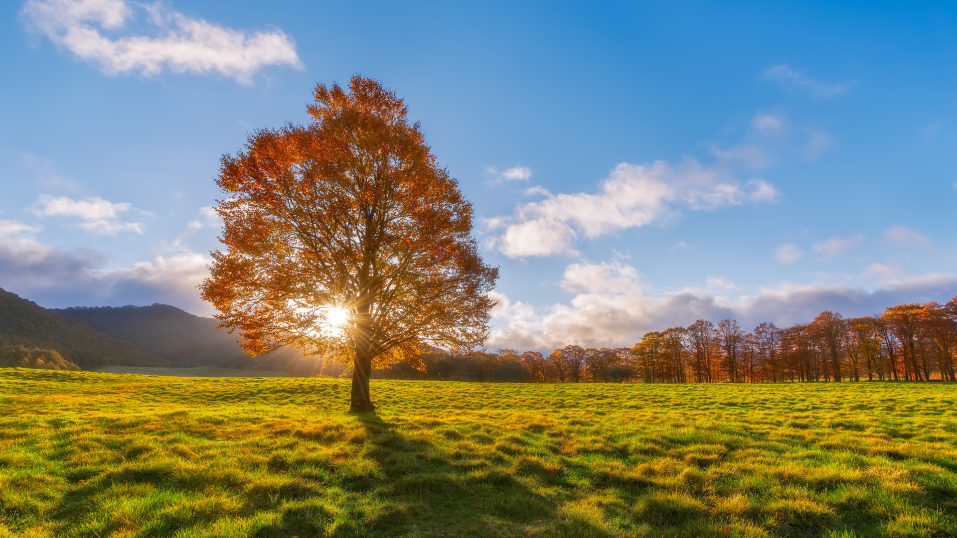 Autumn Sun Rays wallpaper 1920x1080