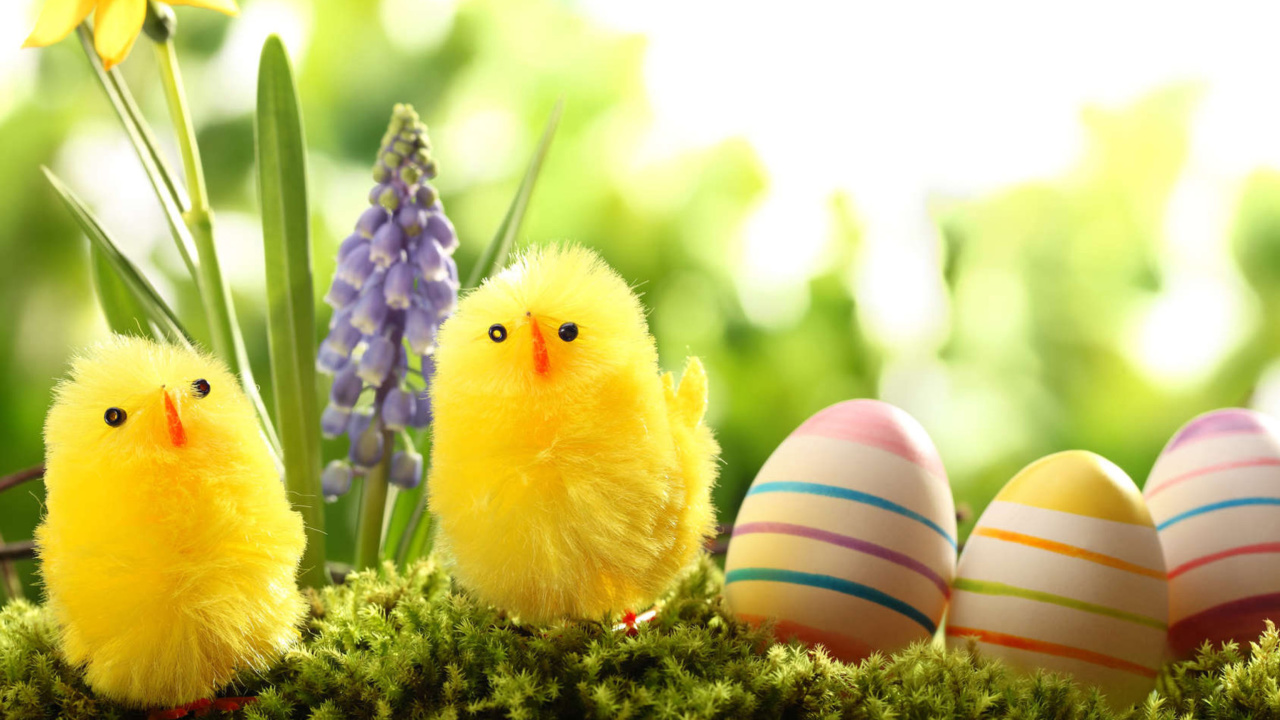 Easter Eggs and Hen wallpaper 1280x720