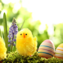 Easter Eggs and Hen screenshot #1 128x128