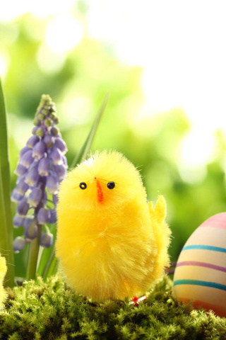 Easter Eggs and Hen wallpaper 320x480