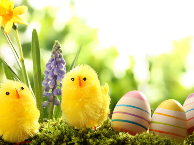 Das Easter Eggs and Hen Wallpaper 640x480