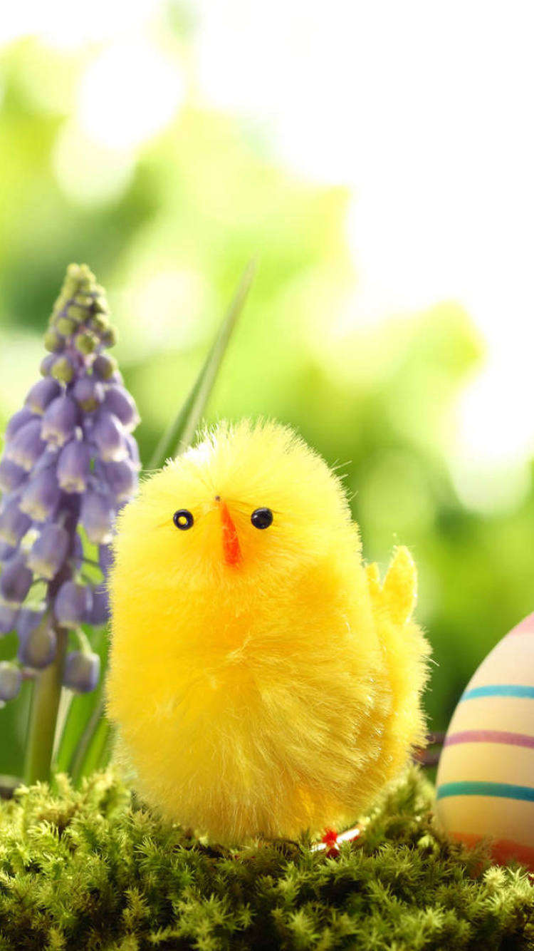Easter Eggs and Hen wallpaper 750x1334