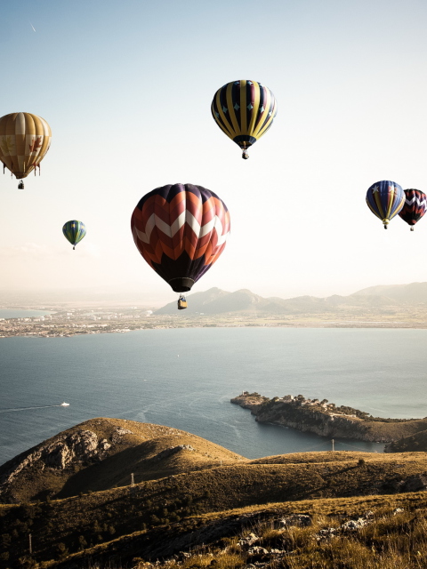 Air Balloons In Sky Above Ground wallpaper 480x640