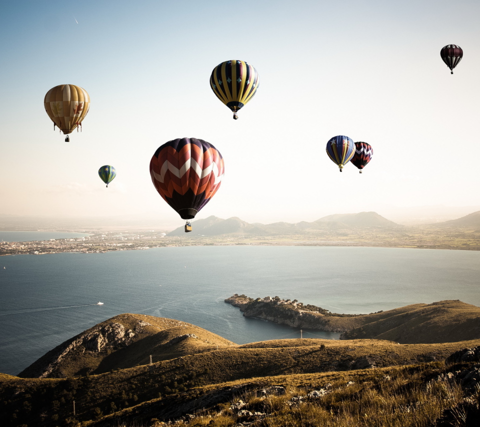 Air Balloons In Sky Above Ground wallpaper 960x854