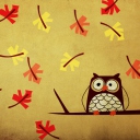 Owl wallpaper 128x128