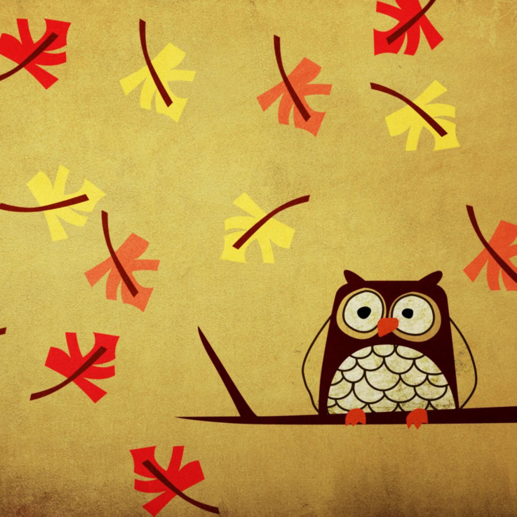 Owl wallpaper 2048x2048