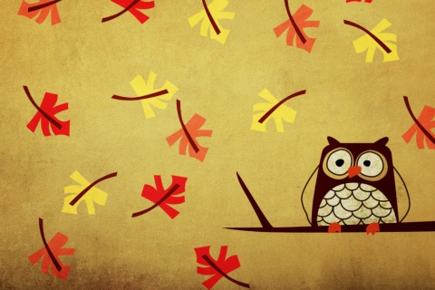 Das Owl Wallpaper 480x320