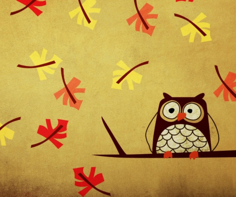 Owl wallpaper 480x400