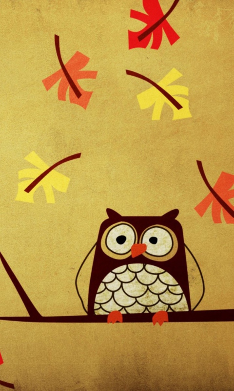 Fondo de pantalla Owl 480x800