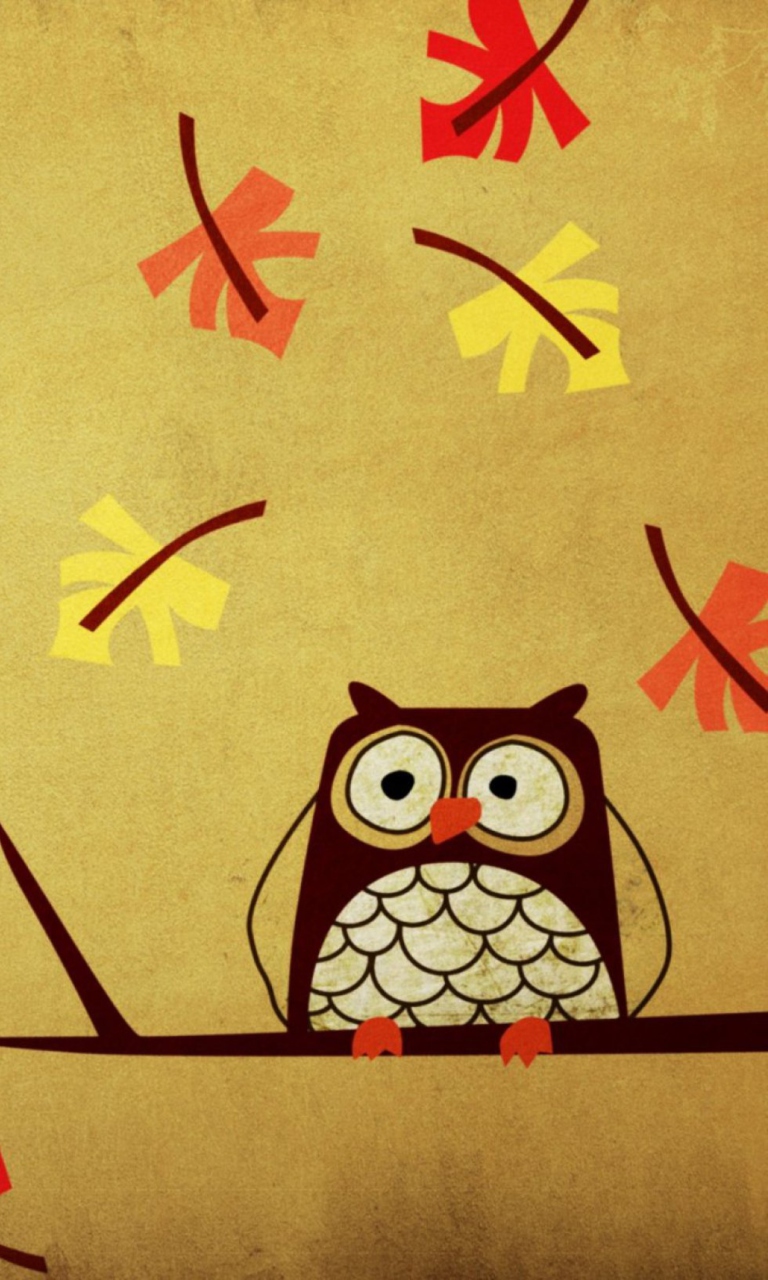 Owl wallpaper 768x1280