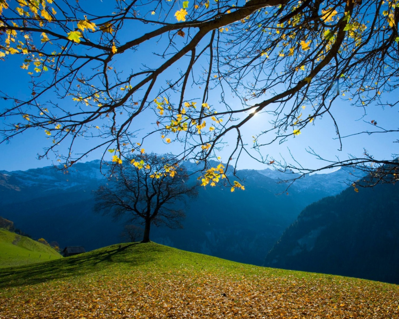 Sfondi Autumn Schachental Switzerland 1280x1024