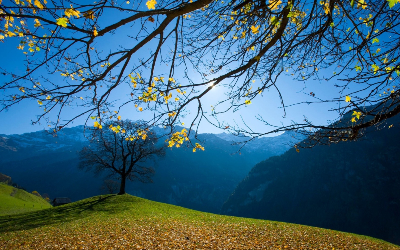 Das Autumn Schachental Switzerland Wallpaper 1280x800