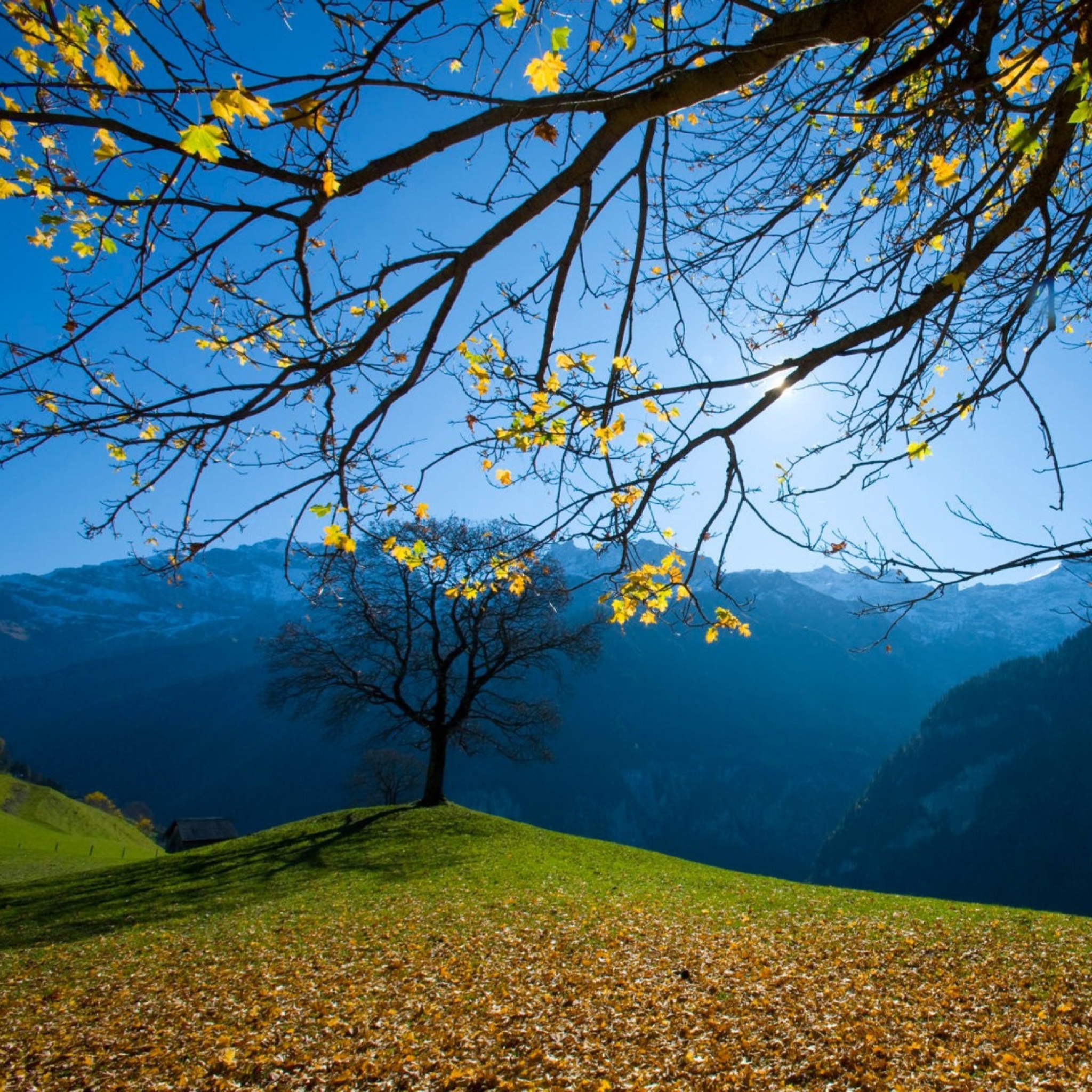 Обои Autumn Schachental Switzerland 2048x2048