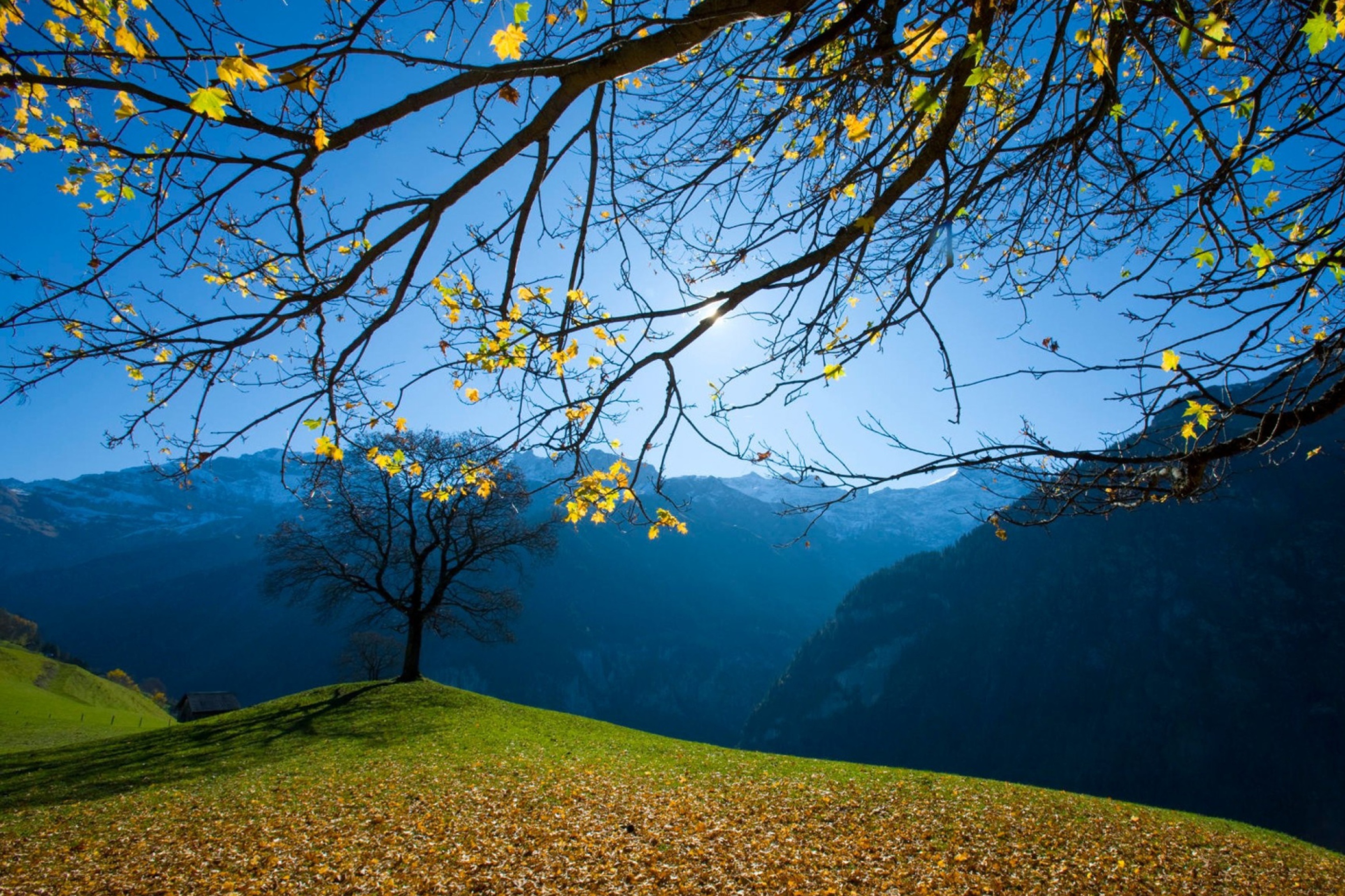 Autumn Schachental Switzerland screenshot #1 2880x1920