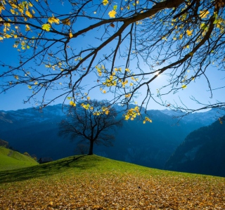 Autumn Schachental Switzerland sfondi gratuiti per iPad mini