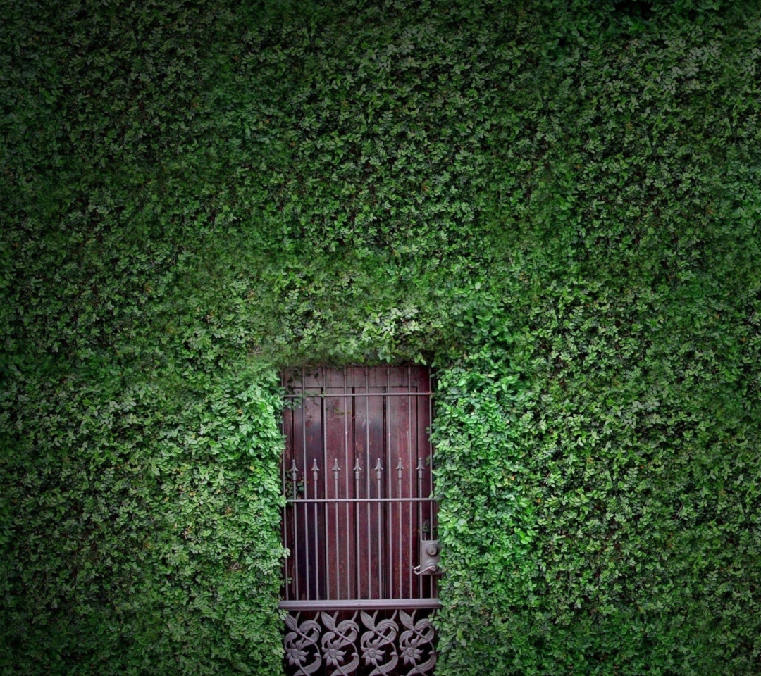 Sfondi Green Wall And Secret Door 1080x960