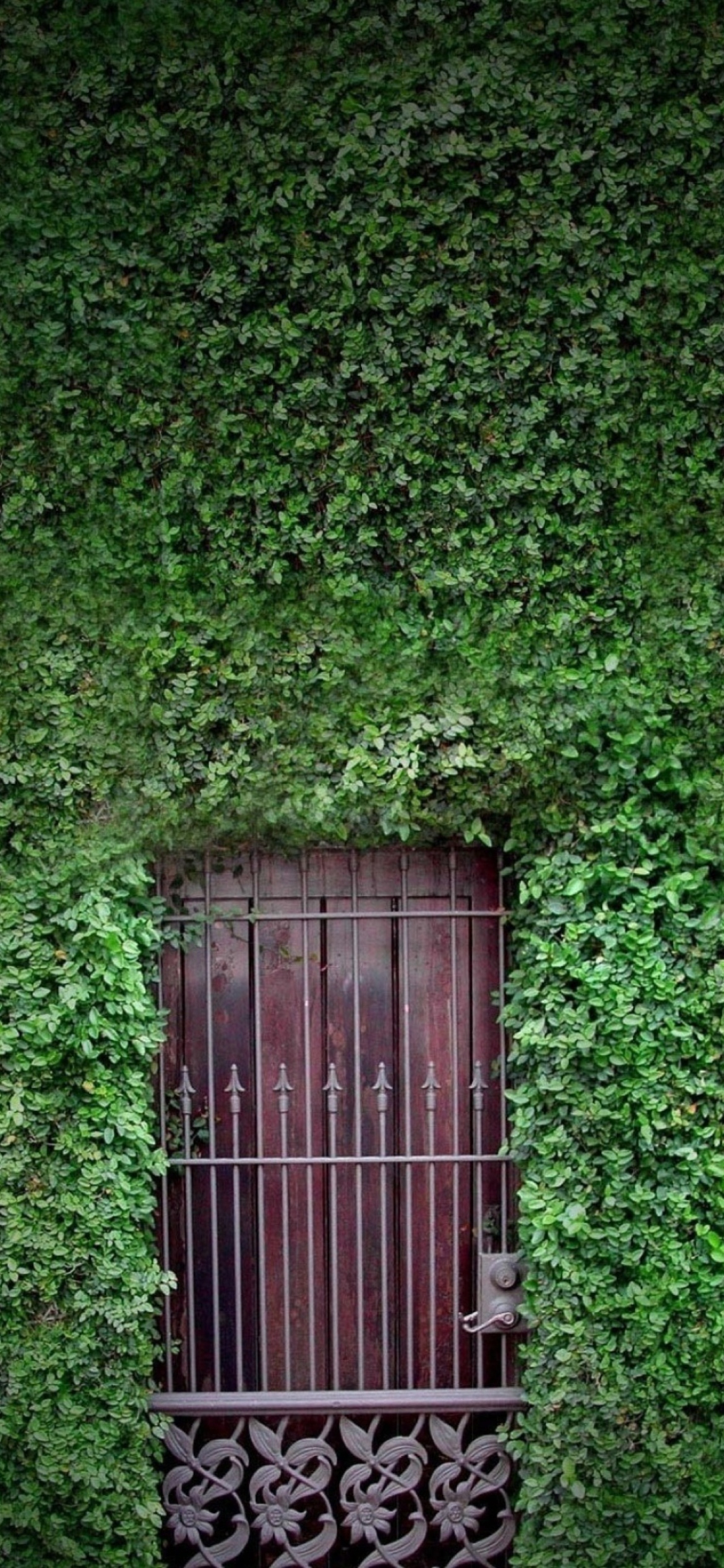 Обои Green Wall And Secret Door 1170x2532