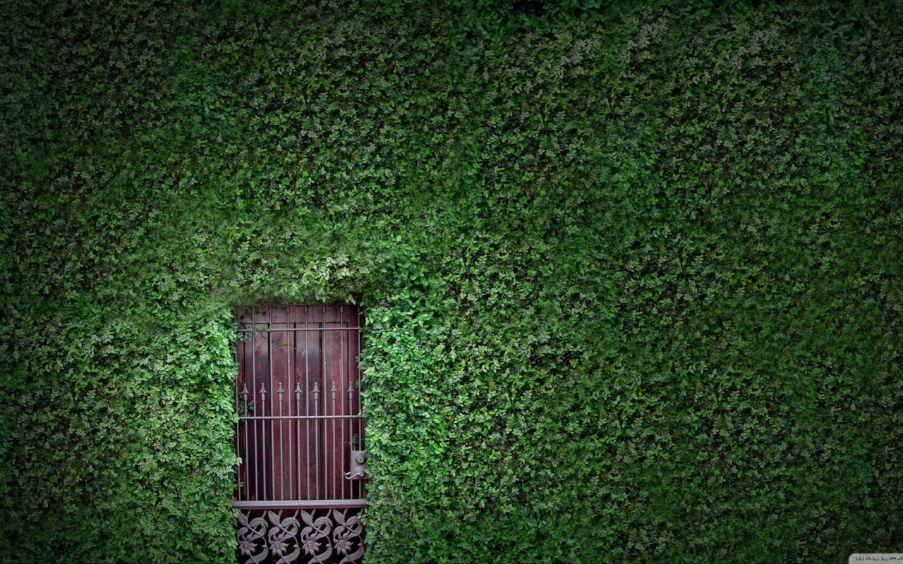 Обои Green Wall And Secret Door 1280x800