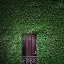 Sfondi Green Wall And Secret Door 128x128