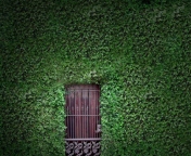 Обои Green Wall And Secret Door 176x144