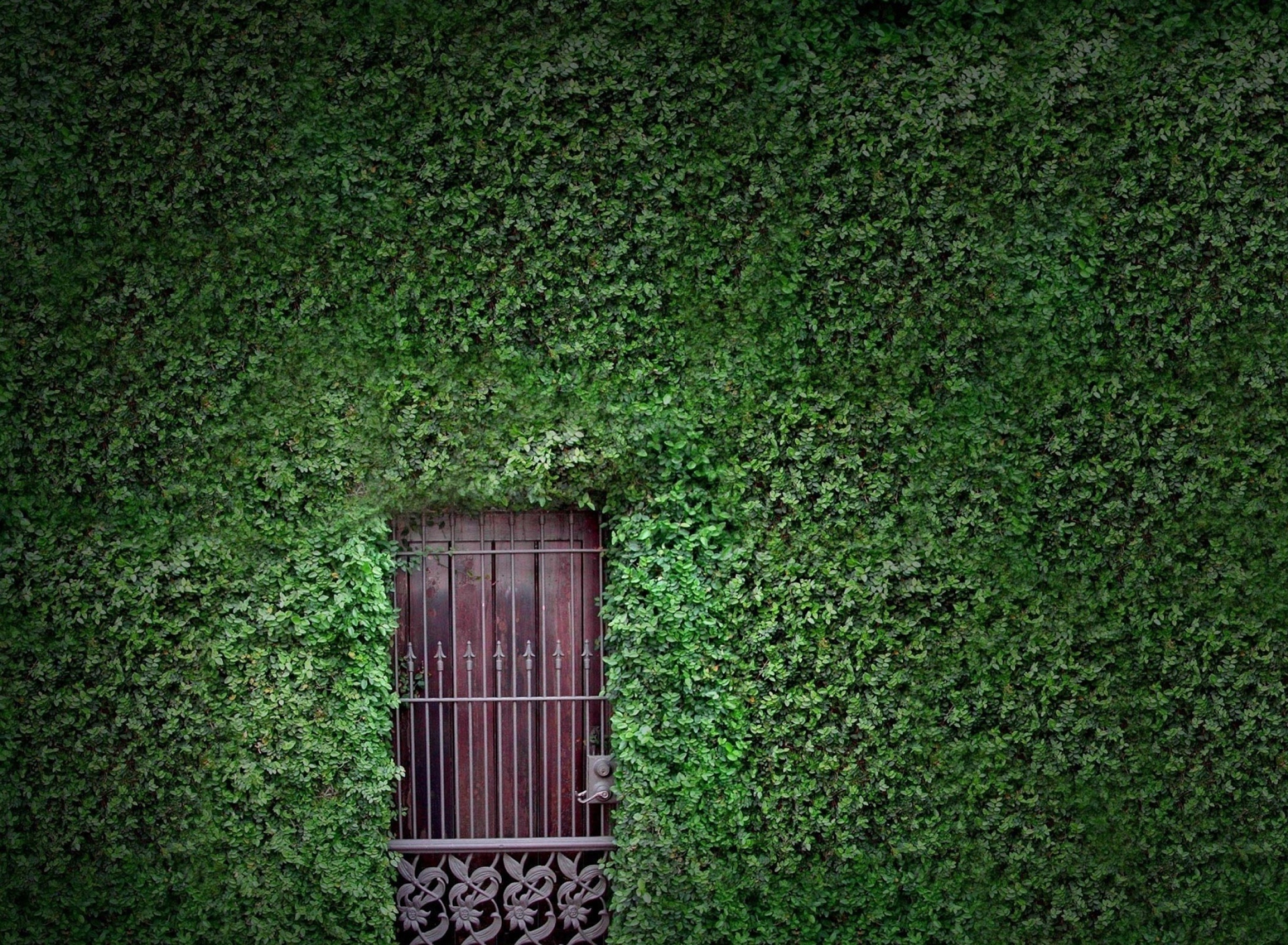 Green Wall And Secret Door wallpaper 1920x1408